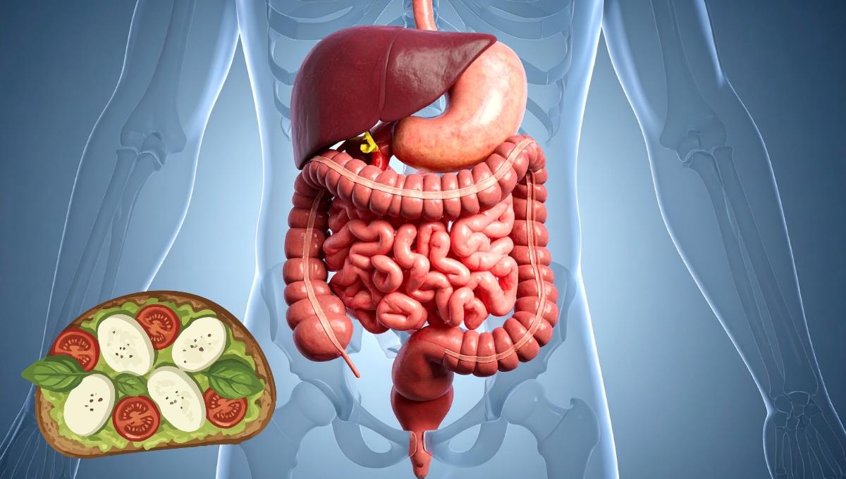 2 frutas que te colaboran con la salud intestinal y te desinflamarán